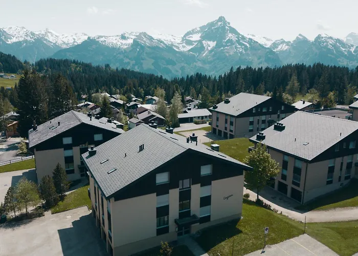 Bischofberger D22 Amden